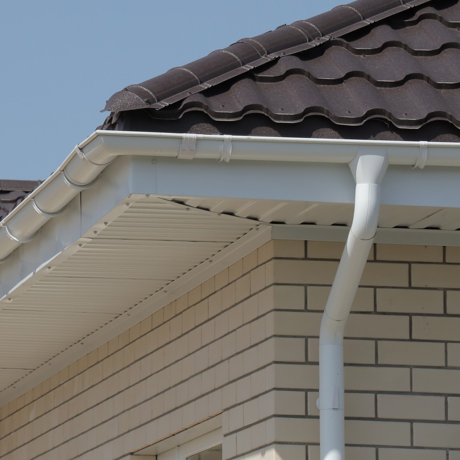 IMG_0013_1